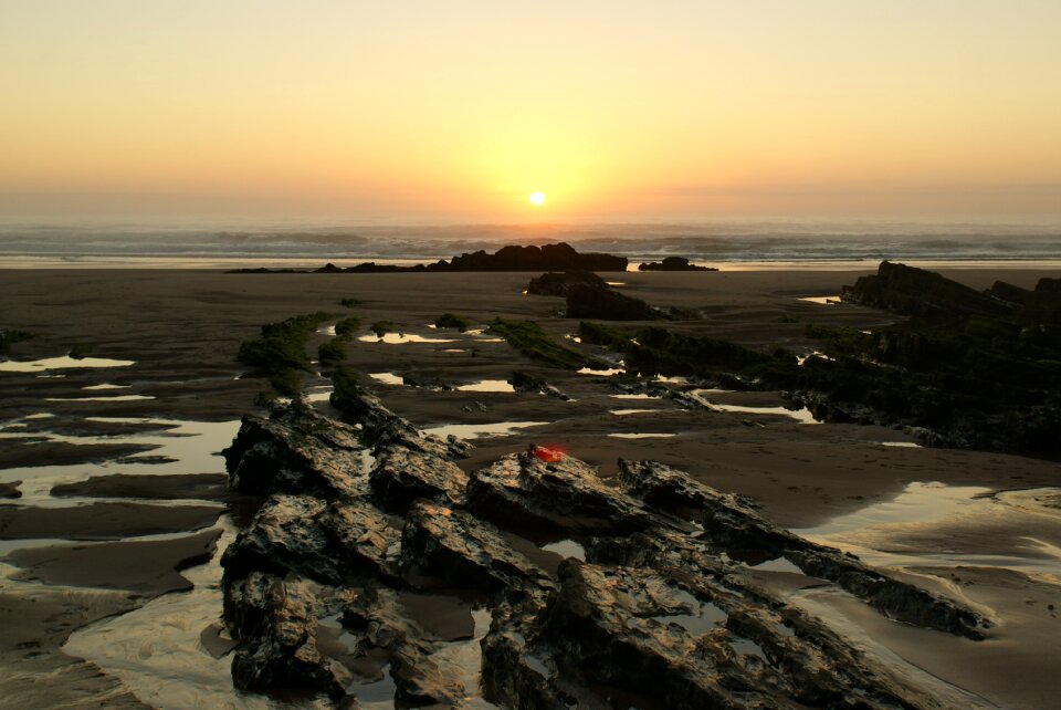 Beach sea nature