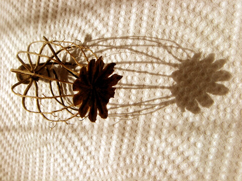 Light decoration simplicity