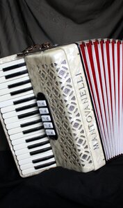 Accordion squish music