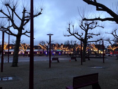 Winter trees city