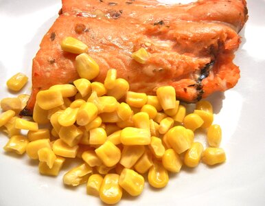 Broiled fish food