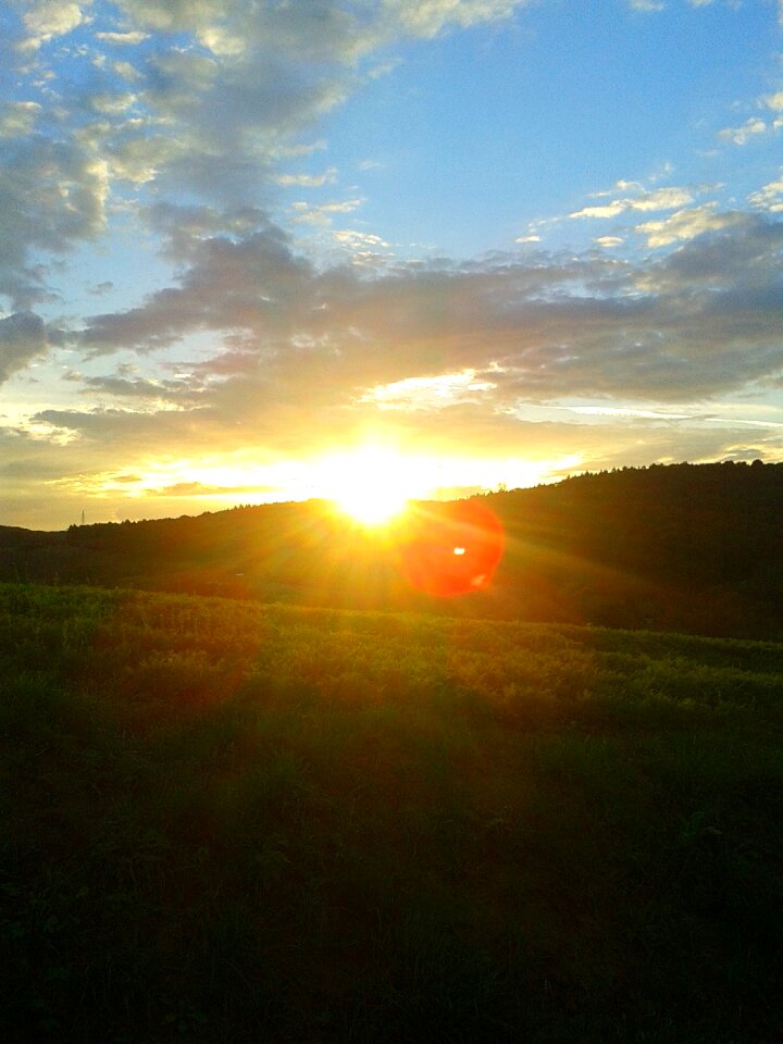 Forest abendstimmung sky