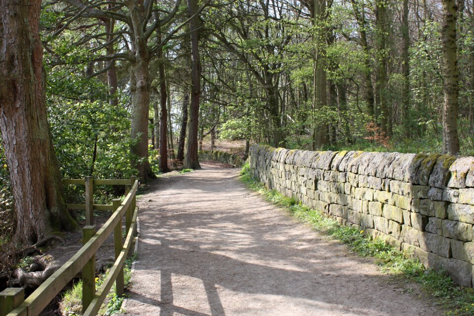 Nature outdoors trail