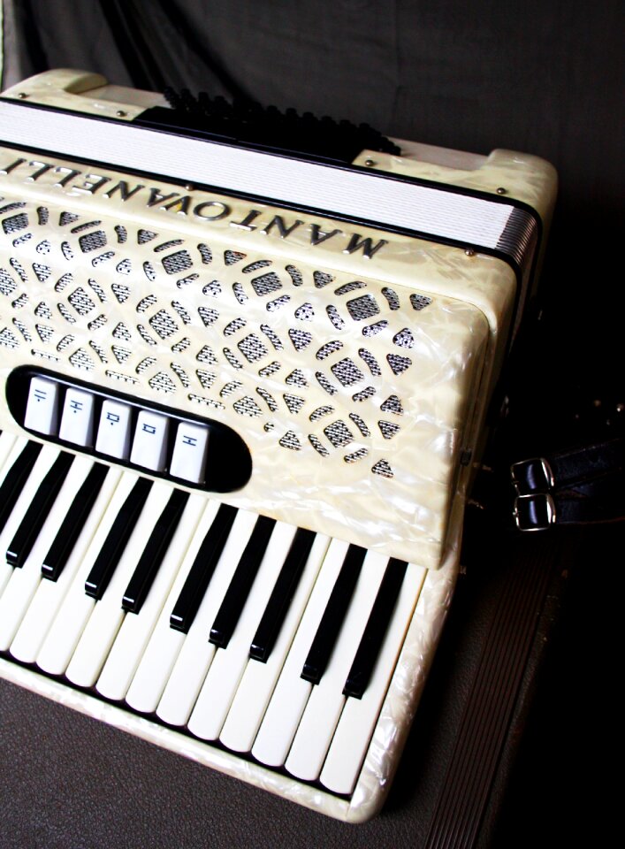 Accordion squish music