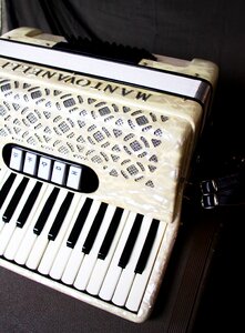Accordion squish music