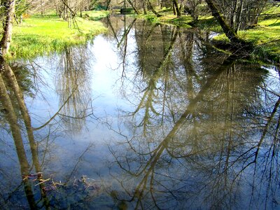 Stream reflection of the trees nature photo
