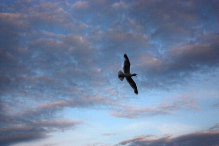 Sky nature dark