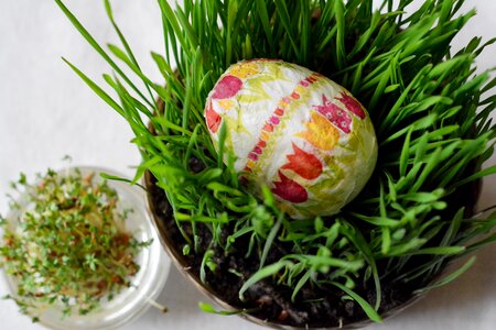 Easter decoration egg photo