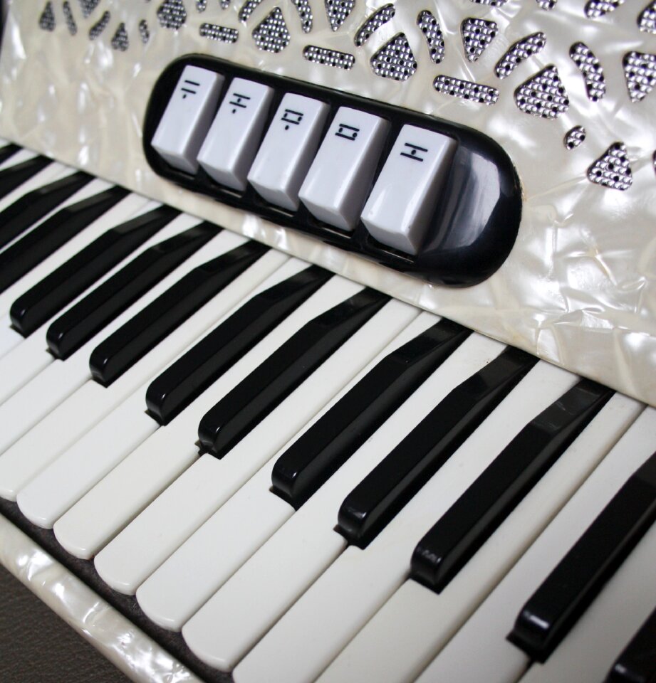 Accordion squish music