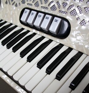 Accordion squish music