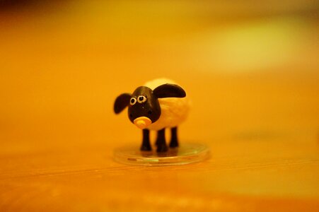 Baby sheep lamb pacifier photo
