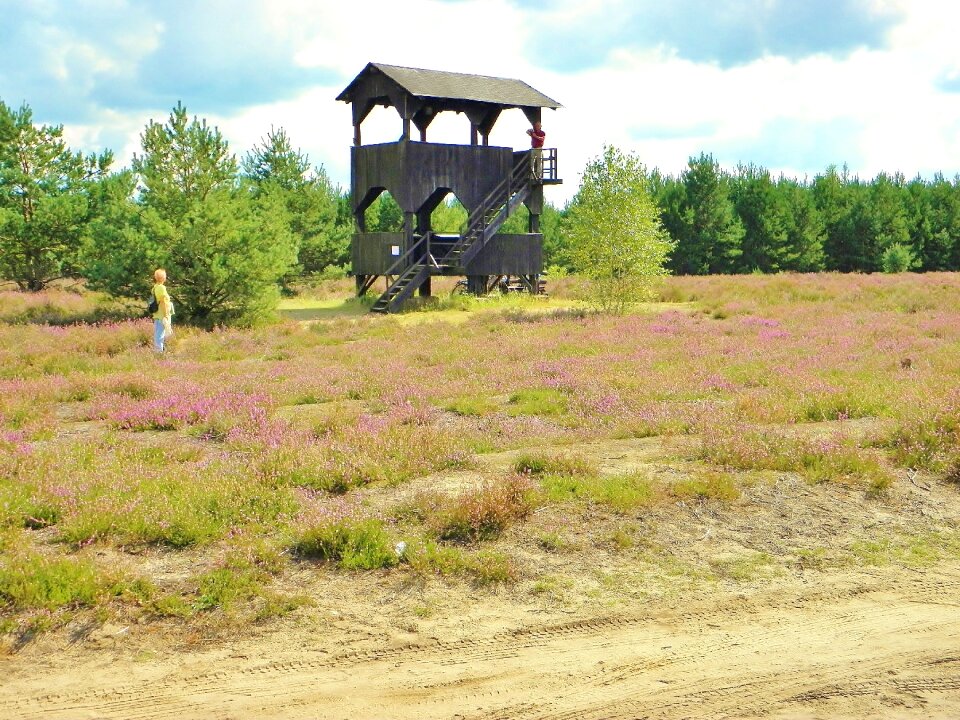 Nature reserve hiking outlook