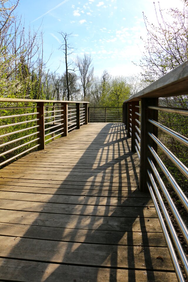 Nature reserve shadow railing