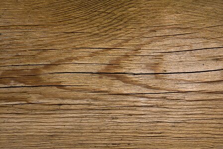 Material timber hardwood photo