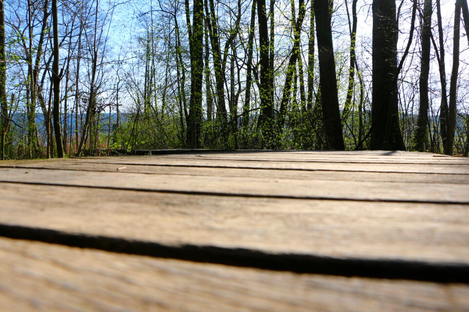 Nature conservation flagstone path demarcation