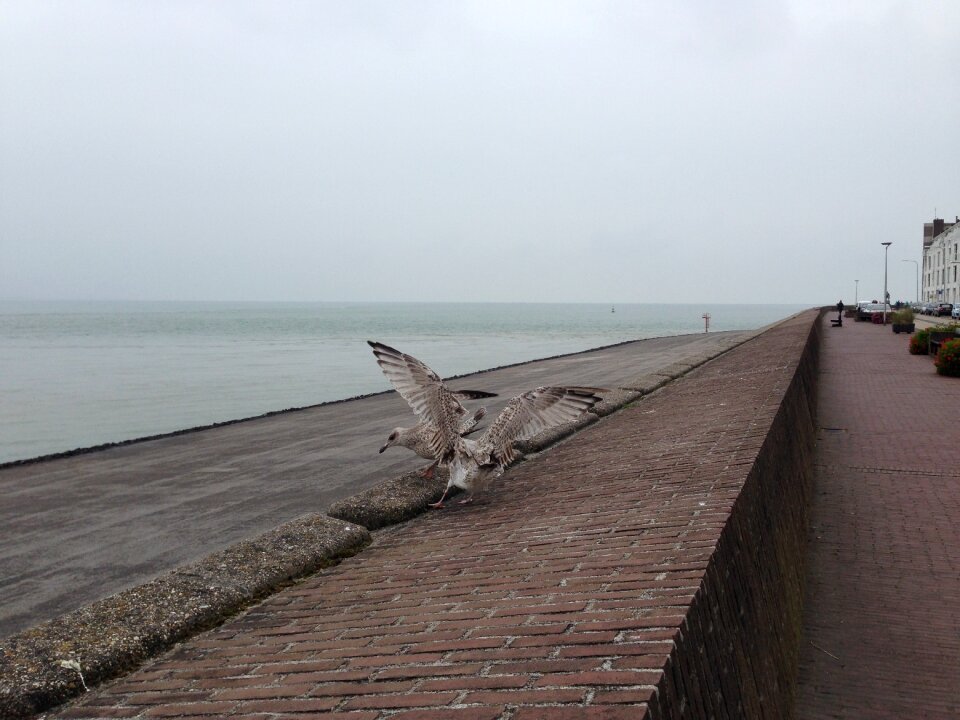 Vlissingen zealand netherlands