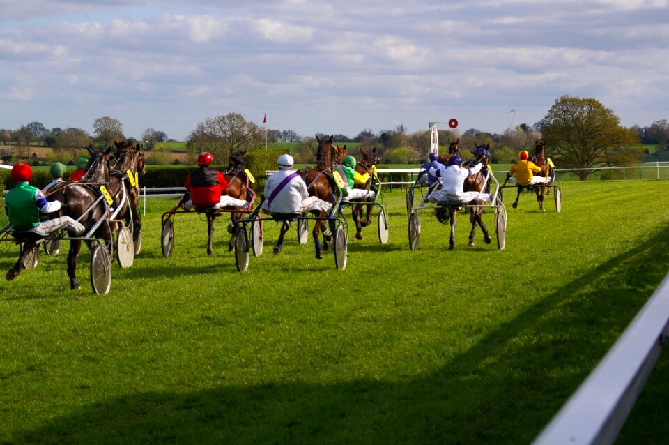 Meral horseback riding horse