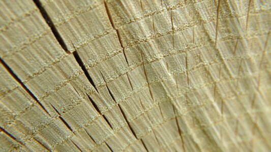 Timber pattern brown