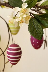 Easter happy easter easter egg photo