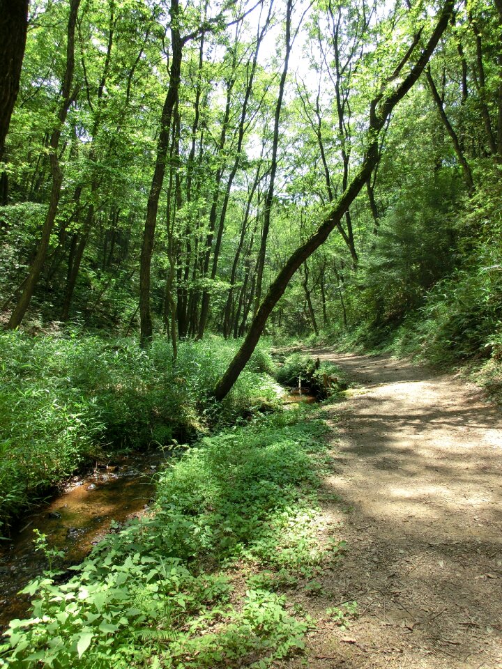 Nature green natural