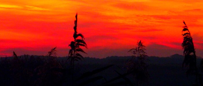 Sunset artistic creative