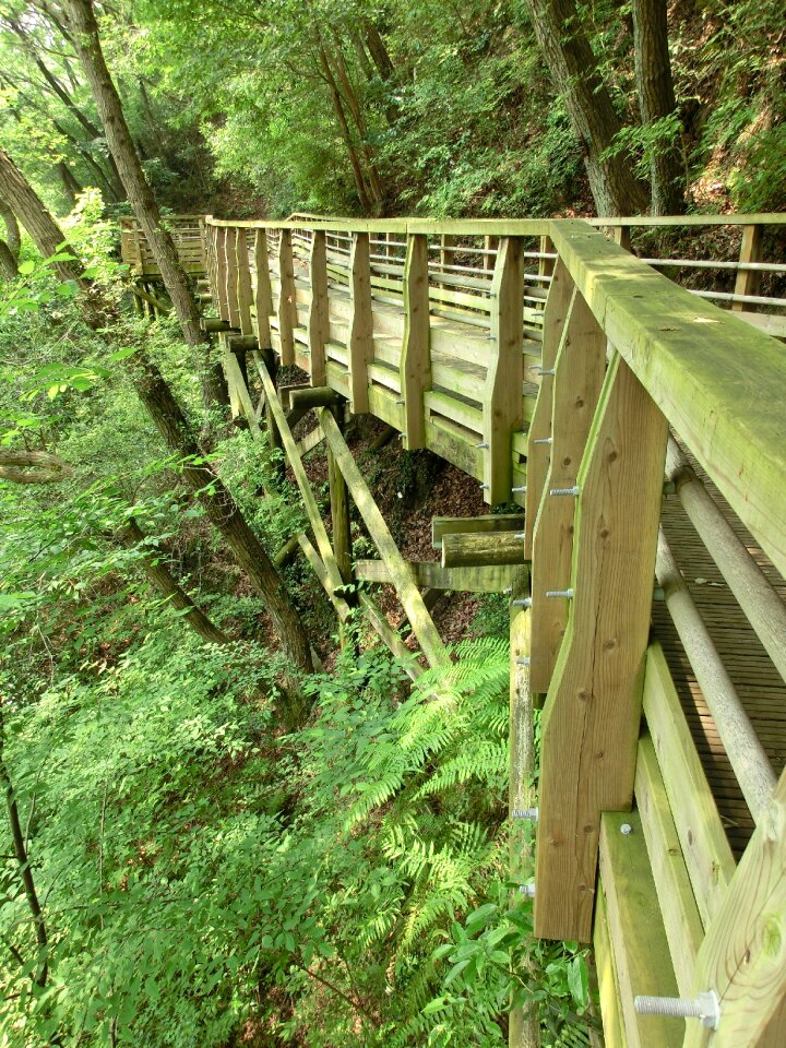 Wood wooden outdoor