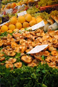 Spain mushrooms market stall