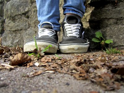 Shoes sneakers sneaker