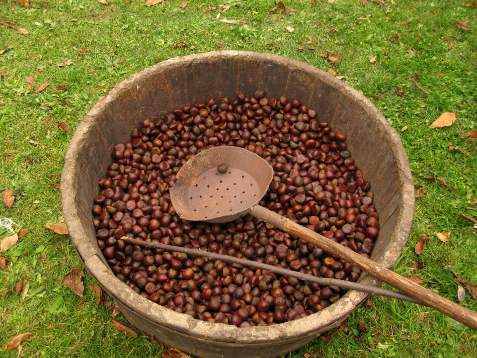 Chestnut festival tradition garfagnana tuscany