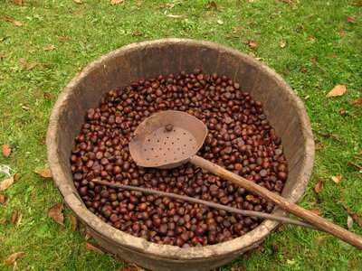 Chestnut festival tradition garfagnana tuscany