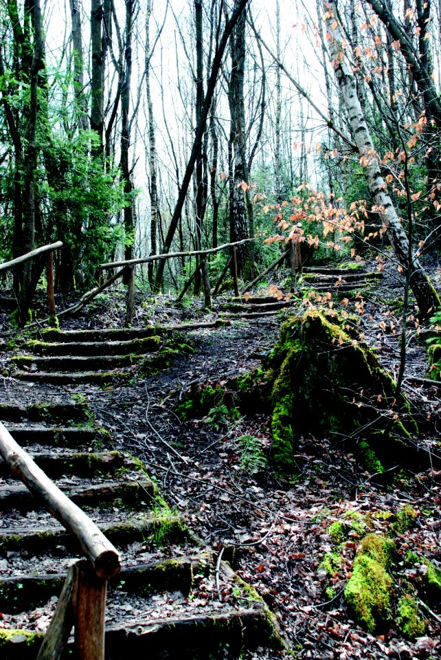 Staircase gradually railing