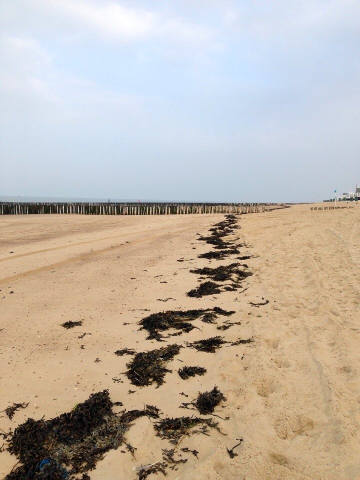 Breakwater vlissingen sand