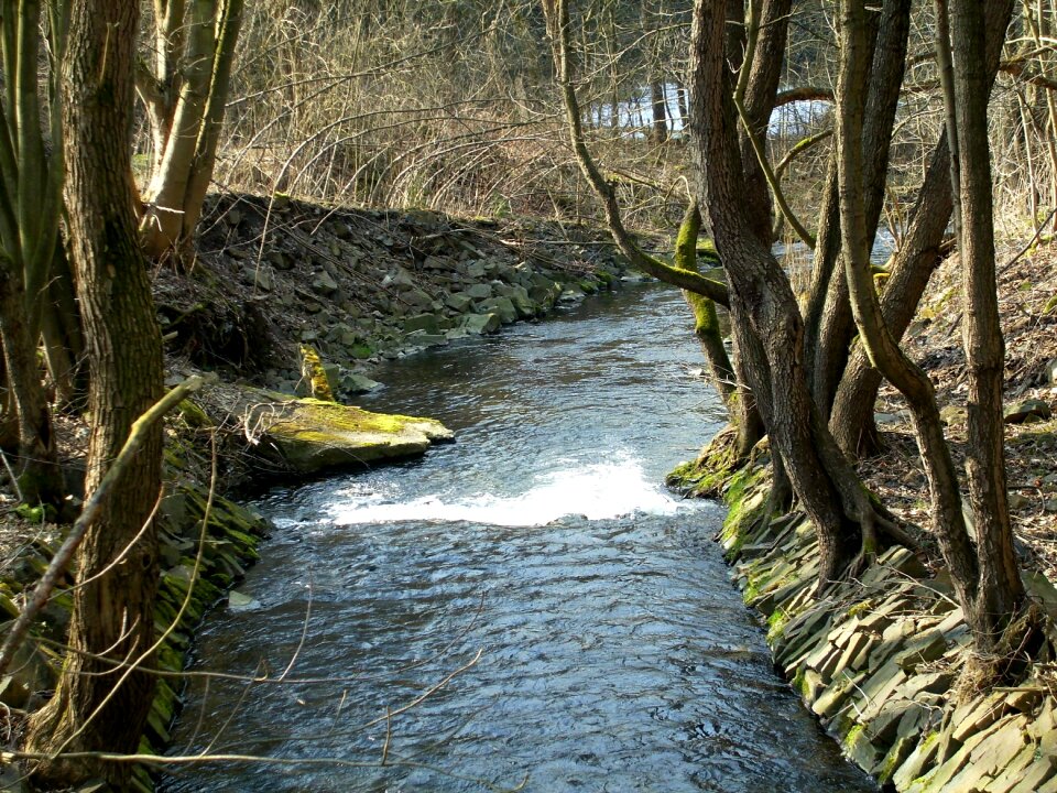 Creek nature splash