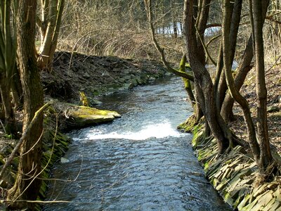 Creek nature splash