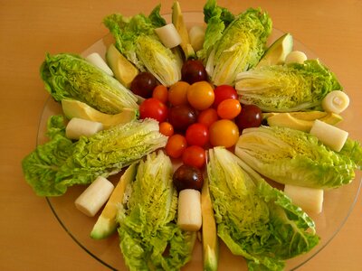 Salad vegetarian food