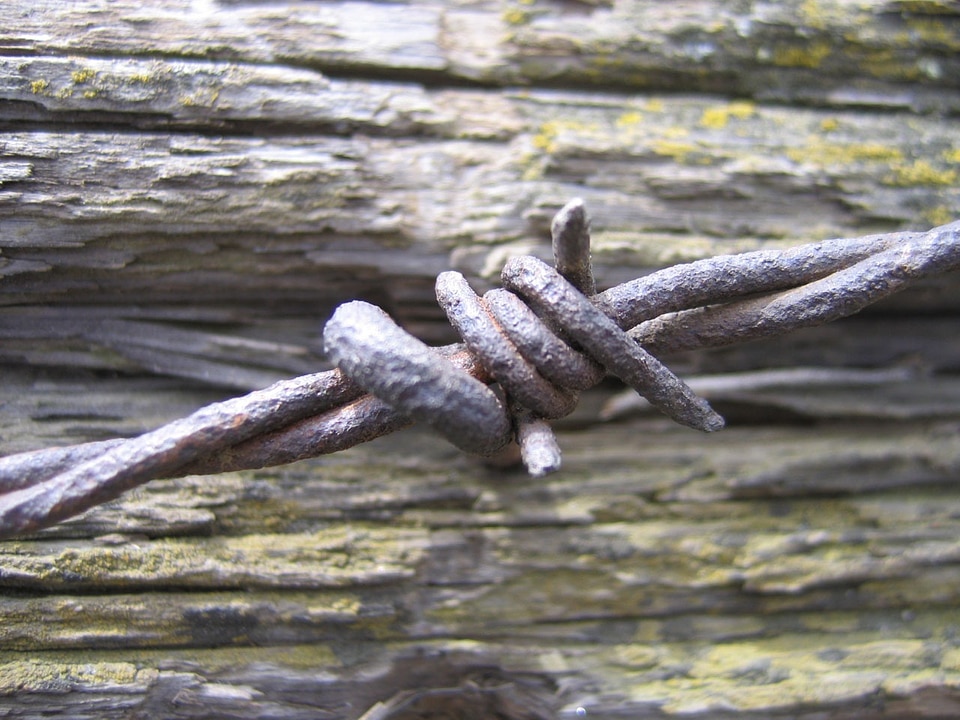 Wood wooden fence photo