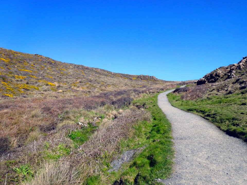 Meadow blue sky cornwall