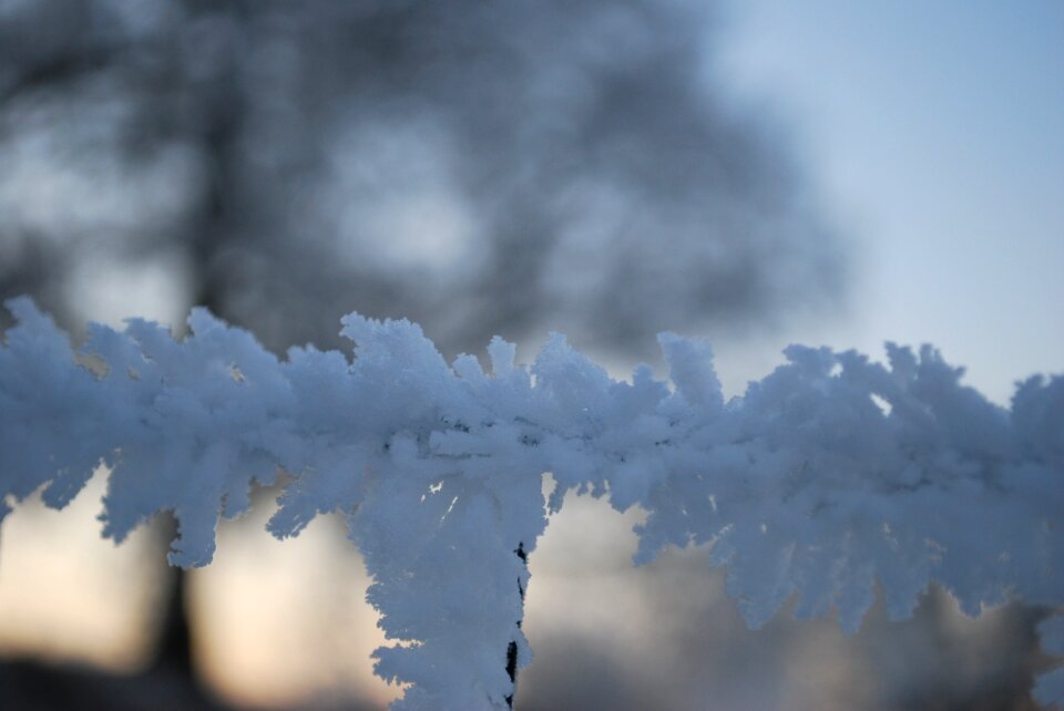 Ice frost ice crystals