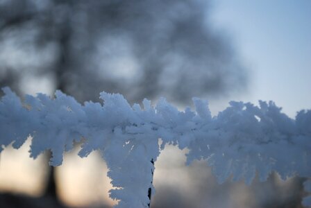 Ice frost ice crystals