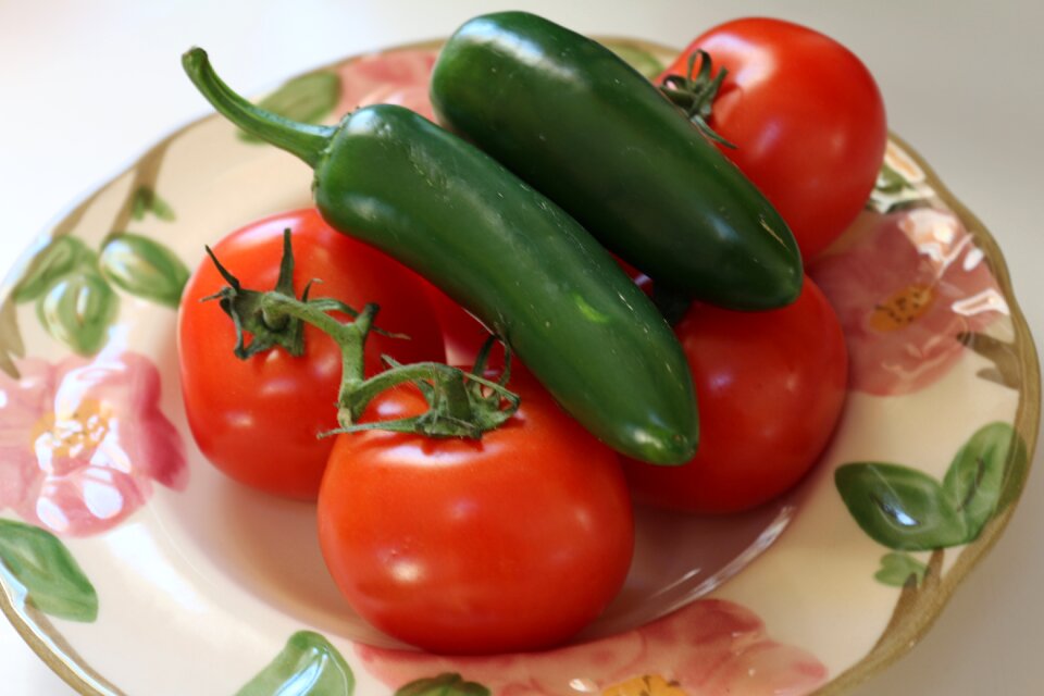 Organic vegetarian food