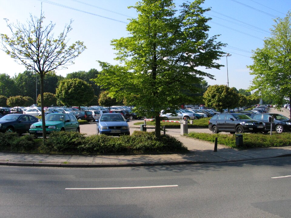 Vehicles parking side of the road
