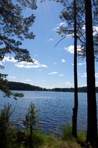 Western siberia blue lake in the pine forest russia