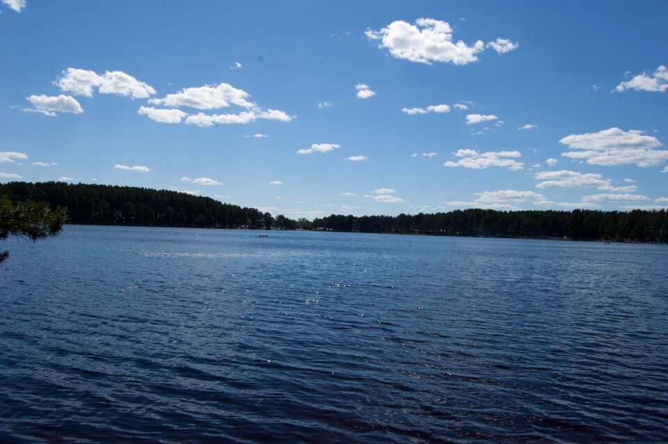 Western siberia blue lake in the pine forest russia