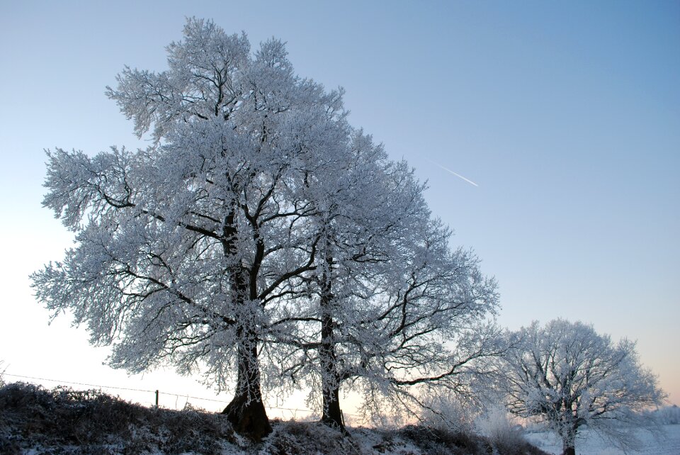 Winter gel cold photo