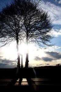 Sunlight sunny sky