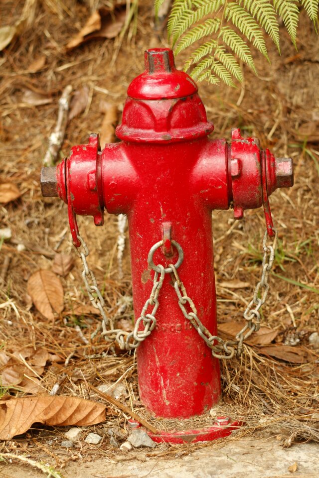 Water red firefighter