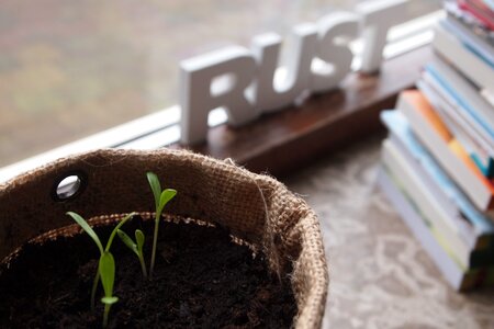 Jute books letters