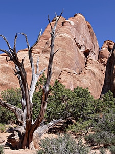 Usa erosion tourist attraction