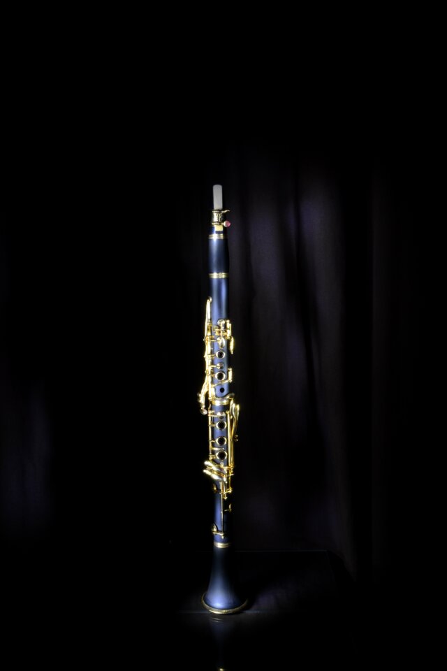 Jazz musical instrument music