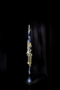 Jazz musical instrument music